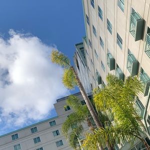 Meet your Posher, Yahira